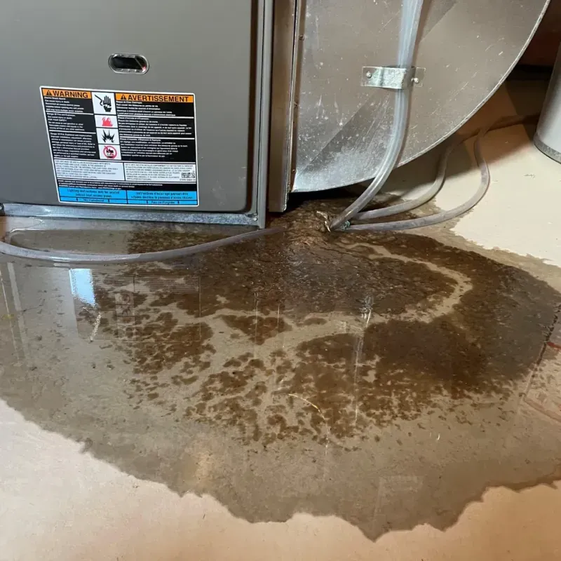 Appliance Leak Cleanup in Gregory, SD